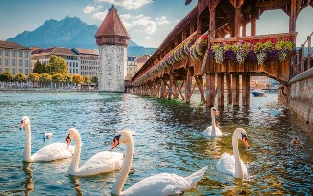 Chiêm ngưỡng vẻ đẹp mê mẩn của phố cổ Lucerne khi du lịch Thụy Sĩ